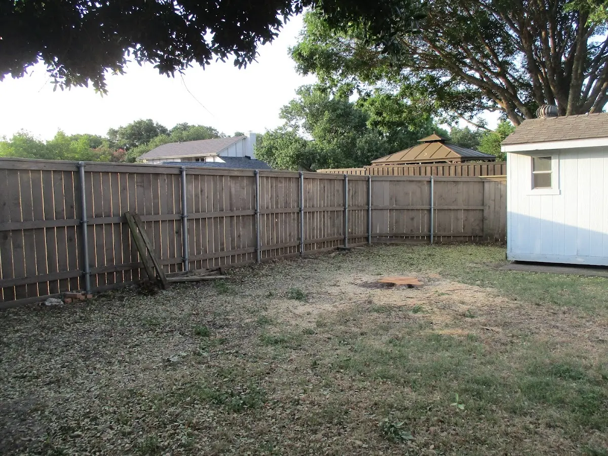 Cleared yard after professional tree removal in Wassaic
